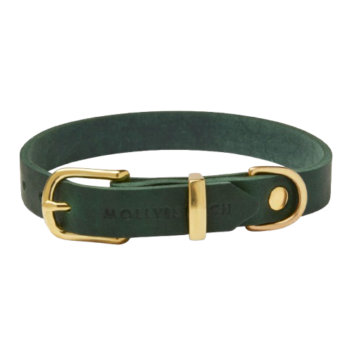Luxus-Hundehalsband aus waldgrünem Leder