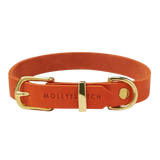 Collier Haut de Gamme pour Chien Cuir Mangue