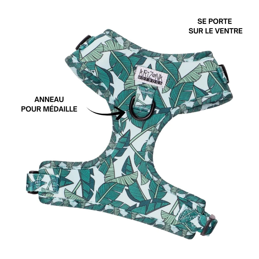 Harnais chien teckel imprimé tropical vert