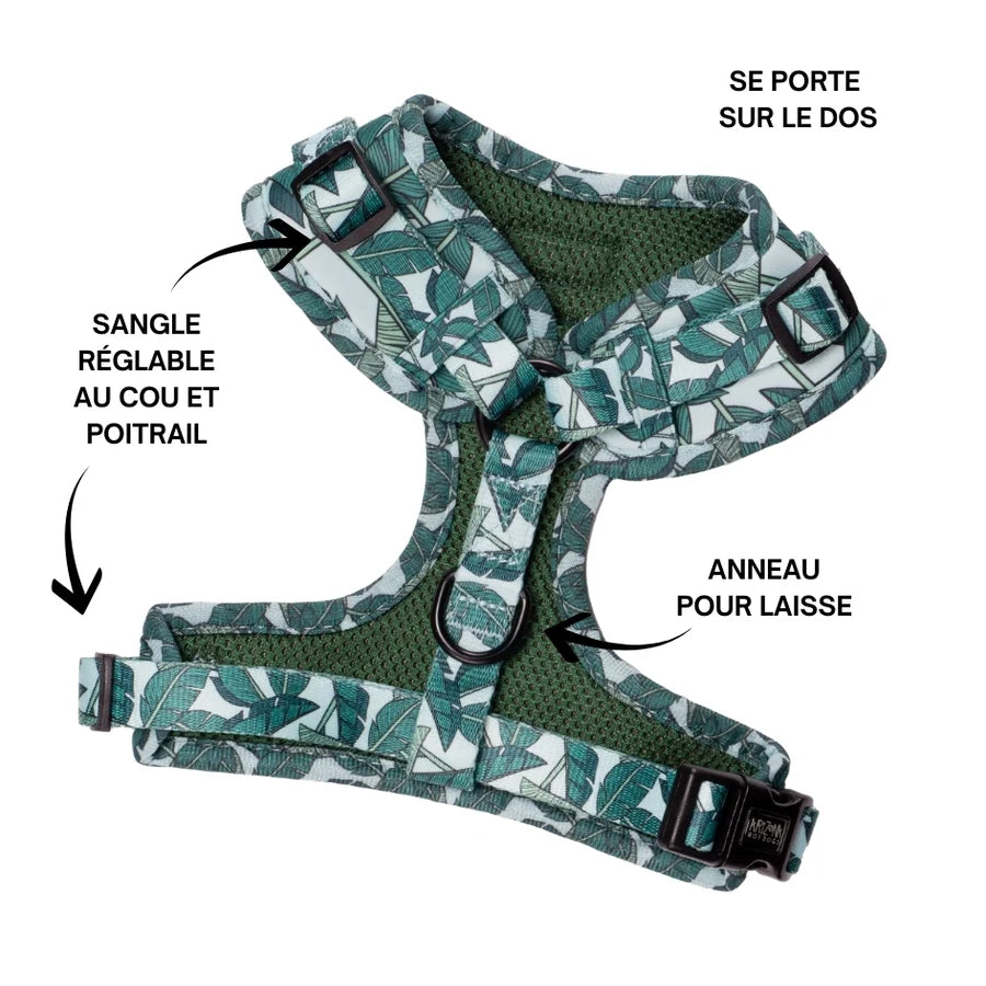 Harnais teckel motif feuilles vertes