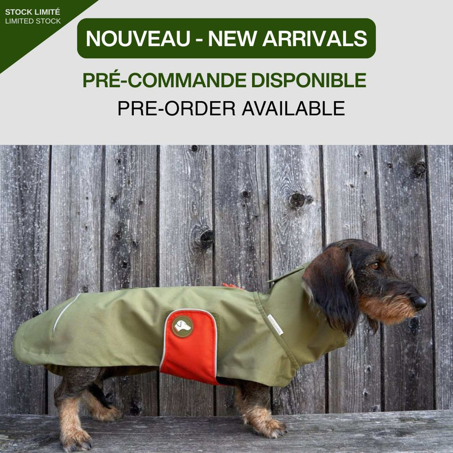 Spezial-Regenmantel für Dackel