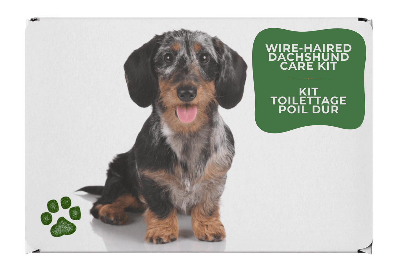 Kit toilettage teckel poil dur