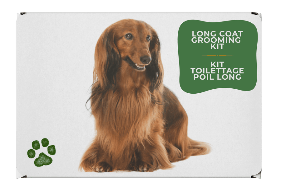 Kit toilettage teckel poil long