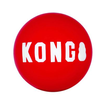 Kong-Ball für kleine Hunde