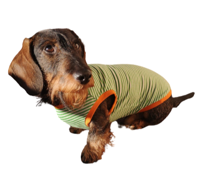 Body Teckel Teckelshop