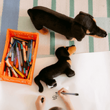 Chien saucisson peluche grand format