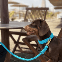 Thumbnail for collier artisanal chien corde