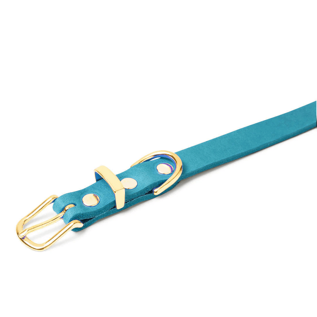 Hochwertiges blaues Hundehalsband aus Leder