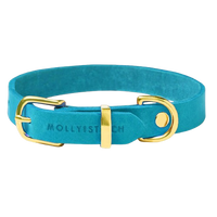 Miniaturbild für Collie Hund Leder Blau