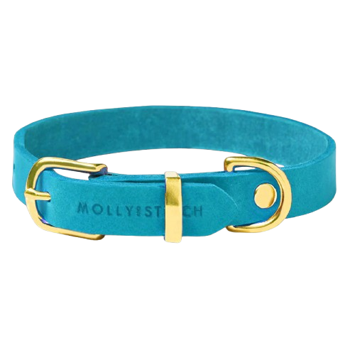 Collie Hund Leder Blau