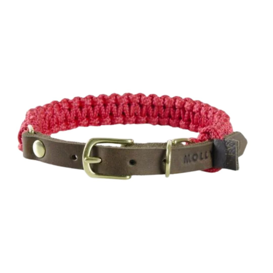 Hundehalsband aus Leder und rotem Seil