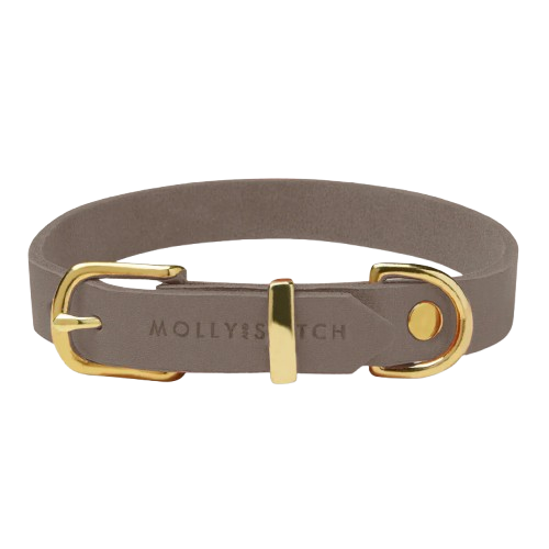 Hochwertiges Hundehalsband aus Leder in Taupe