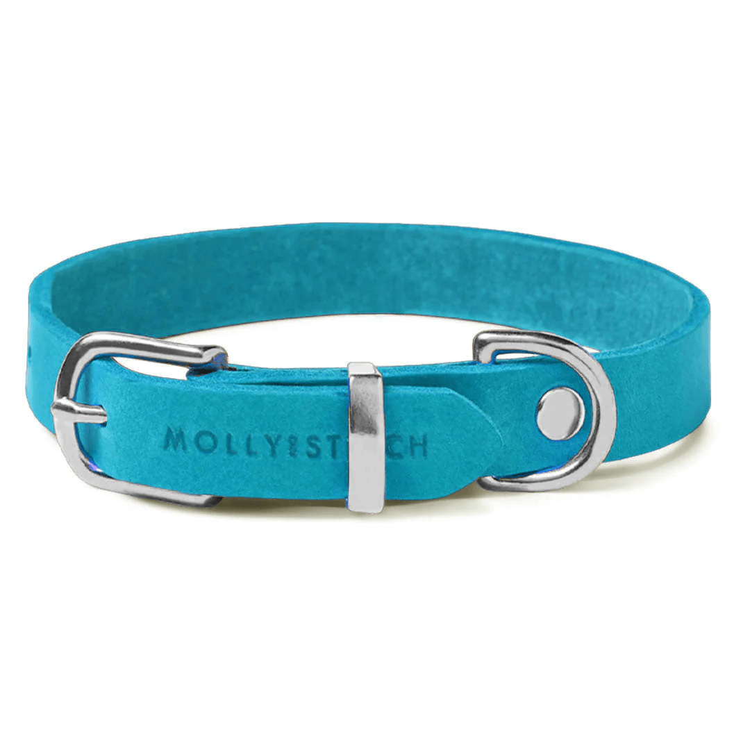 Luxuriöses blaues Hundehalsband aus Leder