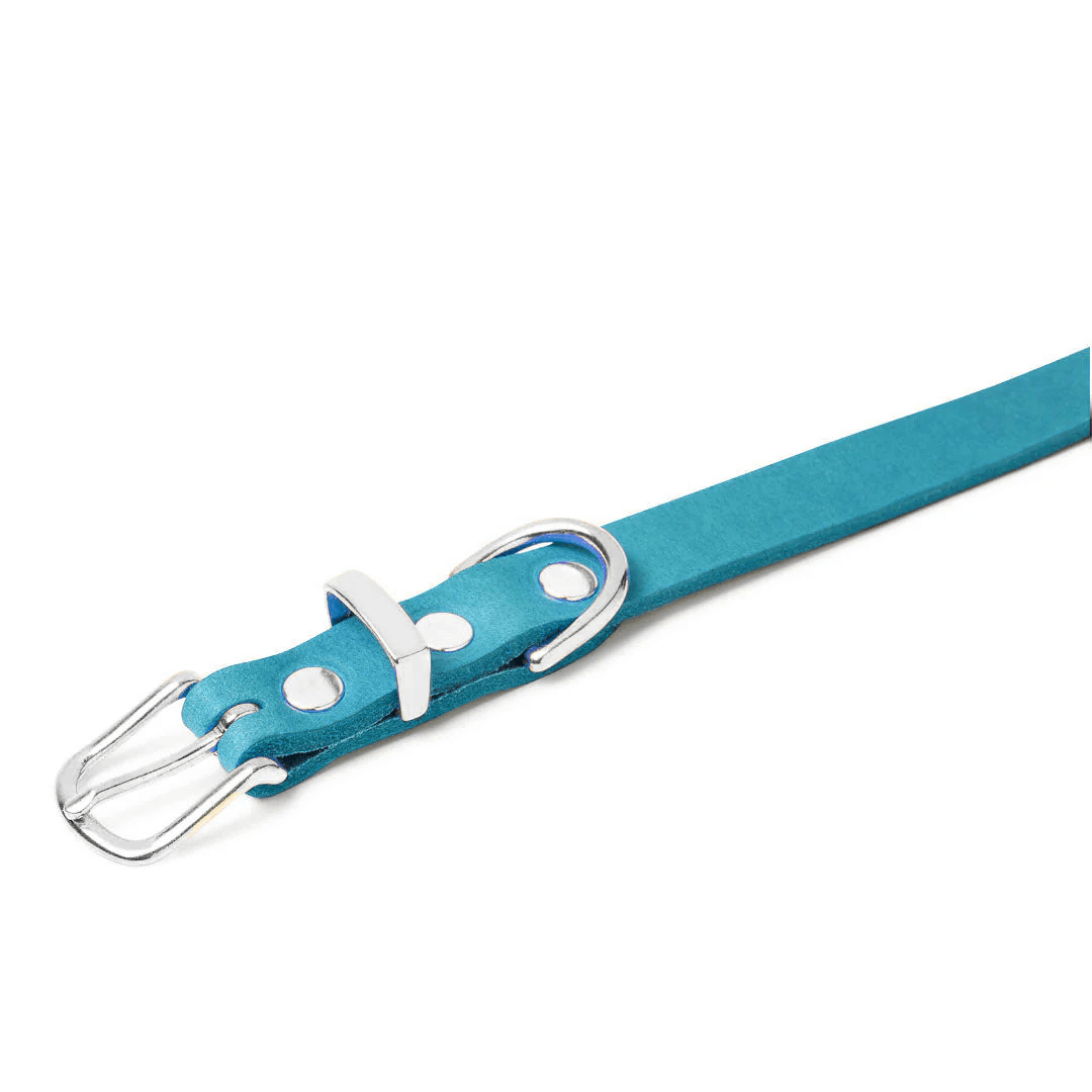 Luxuriöses Hundehalsband aus blauem Leder