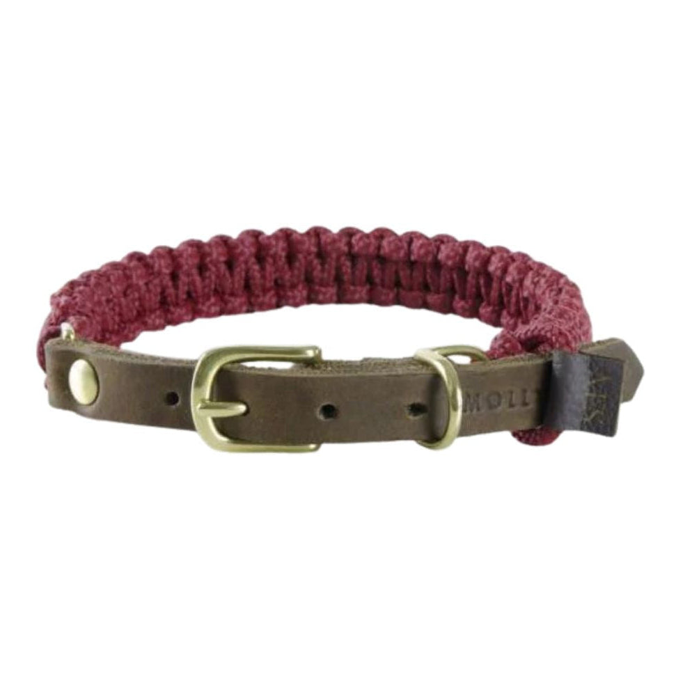 Robustes Hundehalsband aus Seil und Leder 
