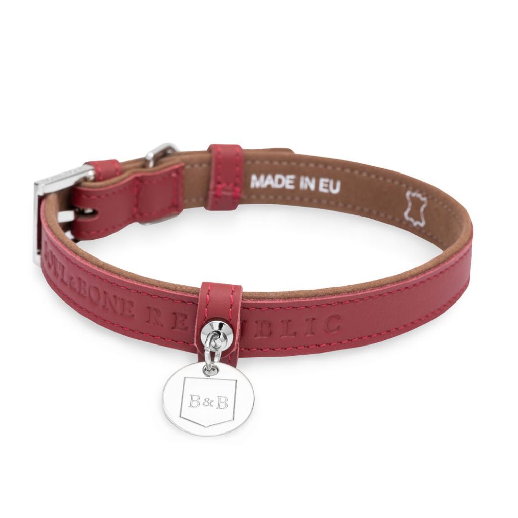Collier solide pour teckel en cuir 