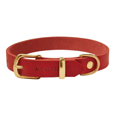 Halsband aus rotem Leder mit Dackelmotiv