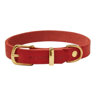 Thumbnail for Collier Cuir Teckel Rouge Or