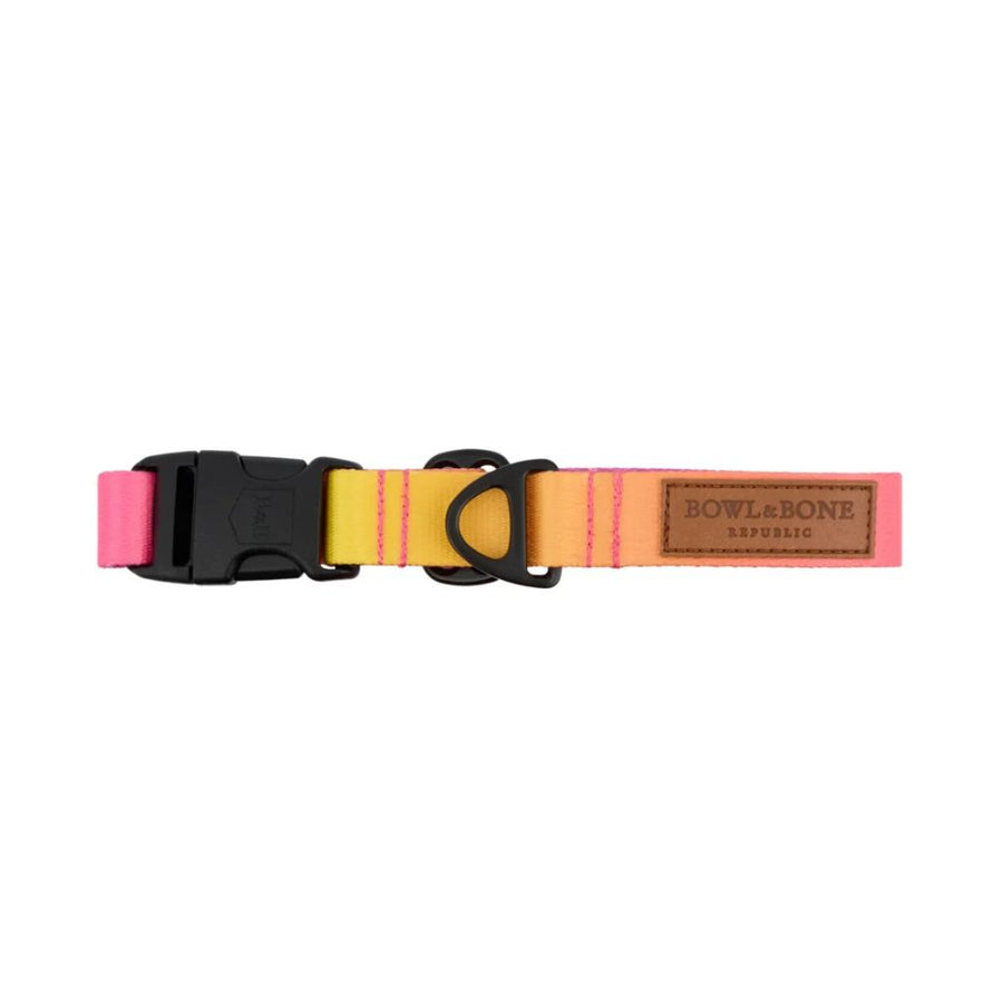 Collier gradient teckel multicouleur