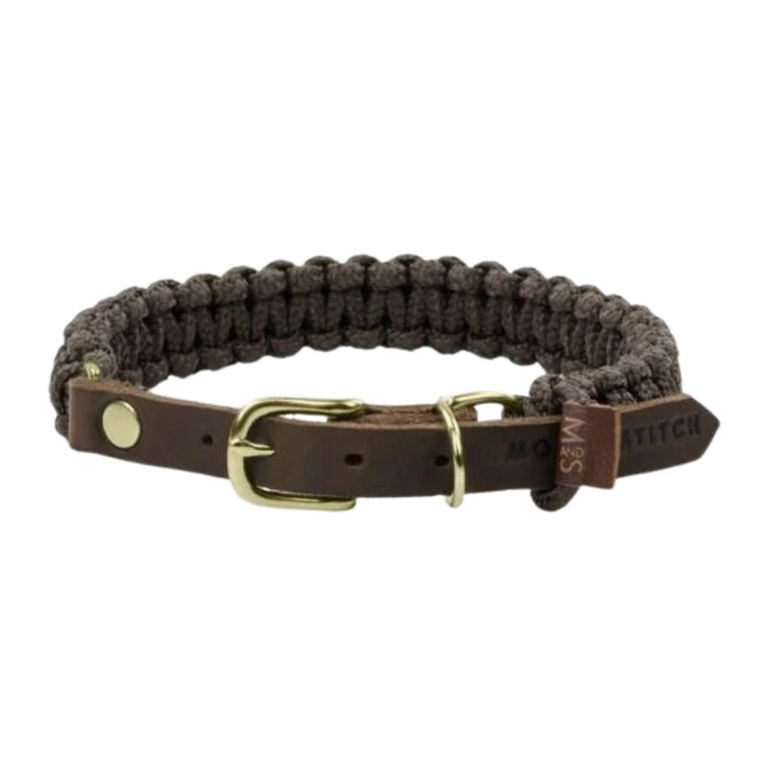 collier pour chien teckel chocolat