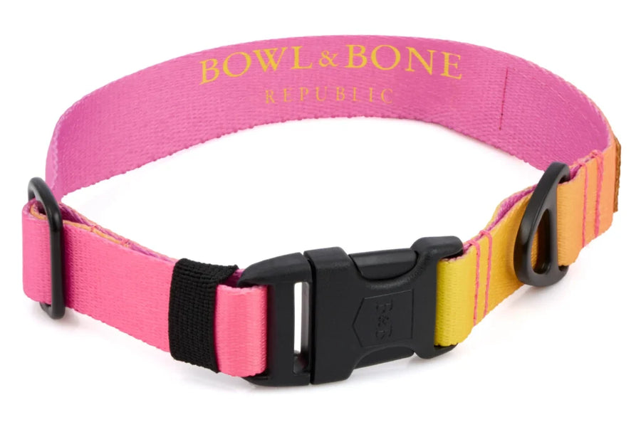 Collier pour petit chien original