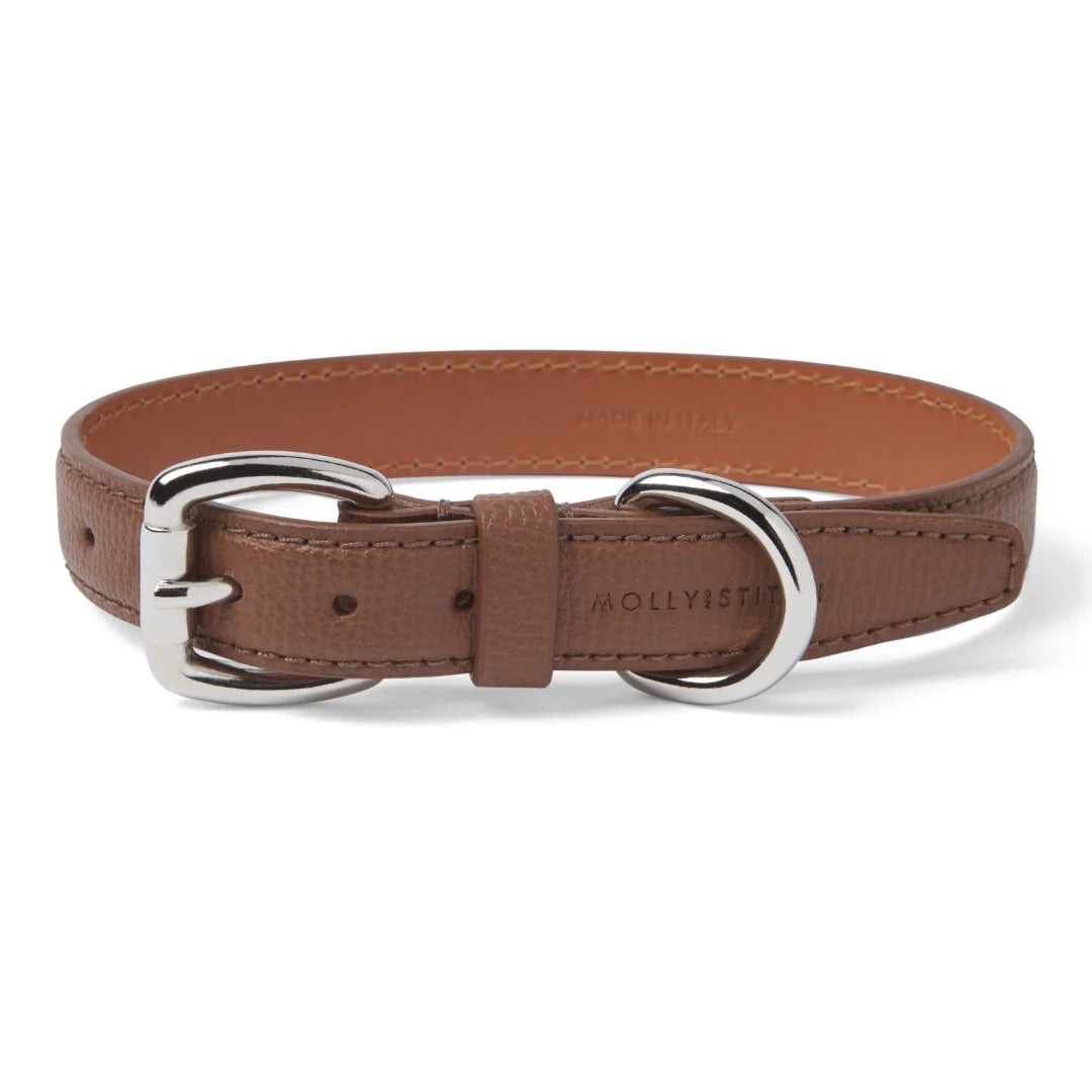 Robustes Lederhalsband für Dackel