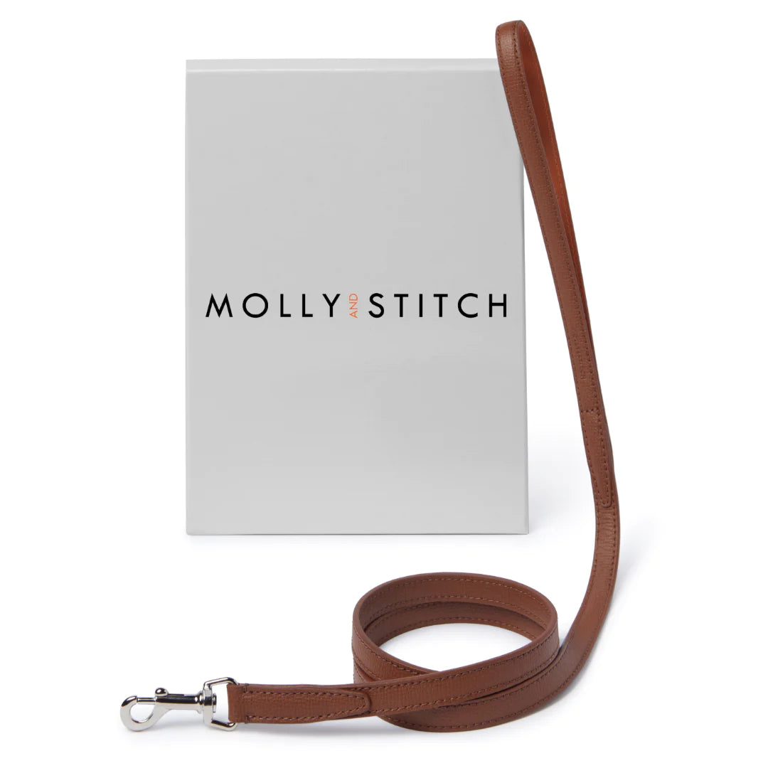 Parure Collier Laisse pour Chien Teckel