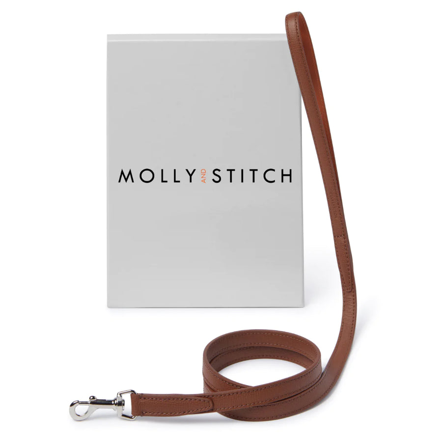 Parure Collier Laisse pour Chien Teckel