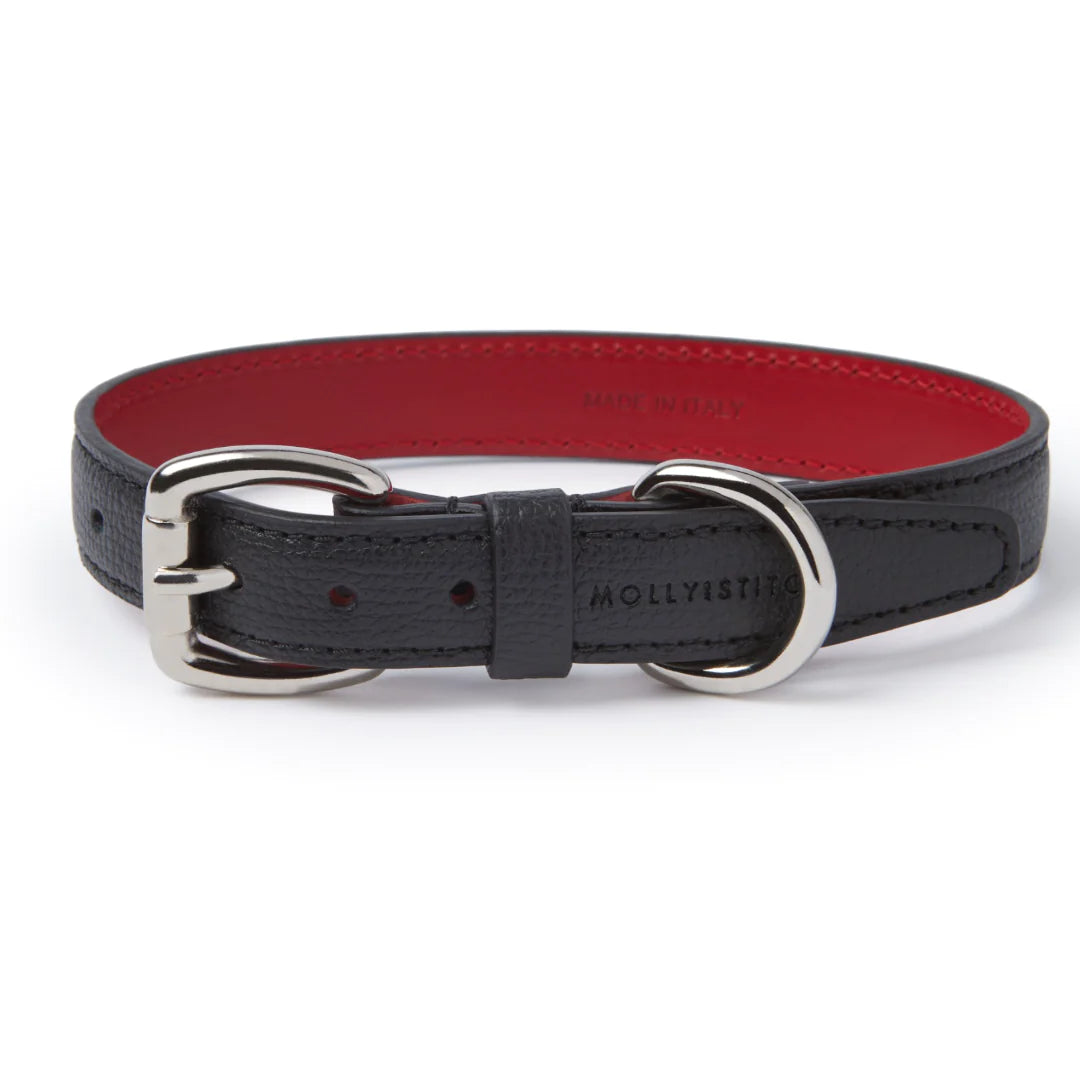 Luxus-Halsband für Dackel