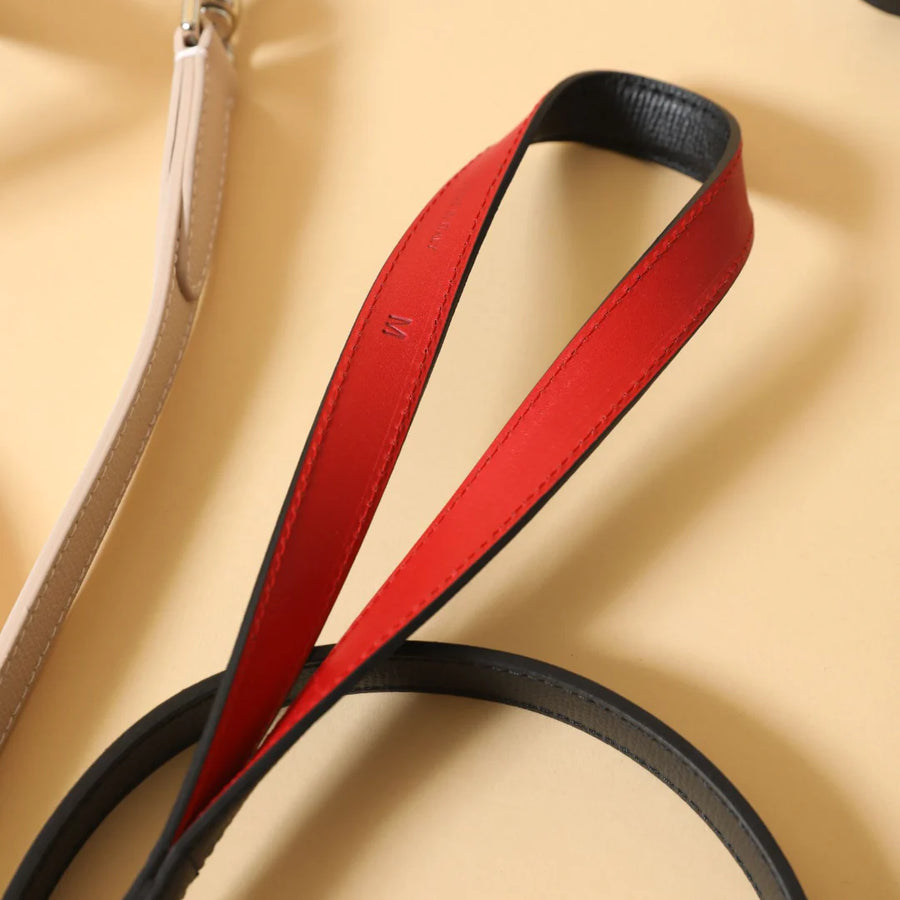 Collier Luxe pour Teckel Nain