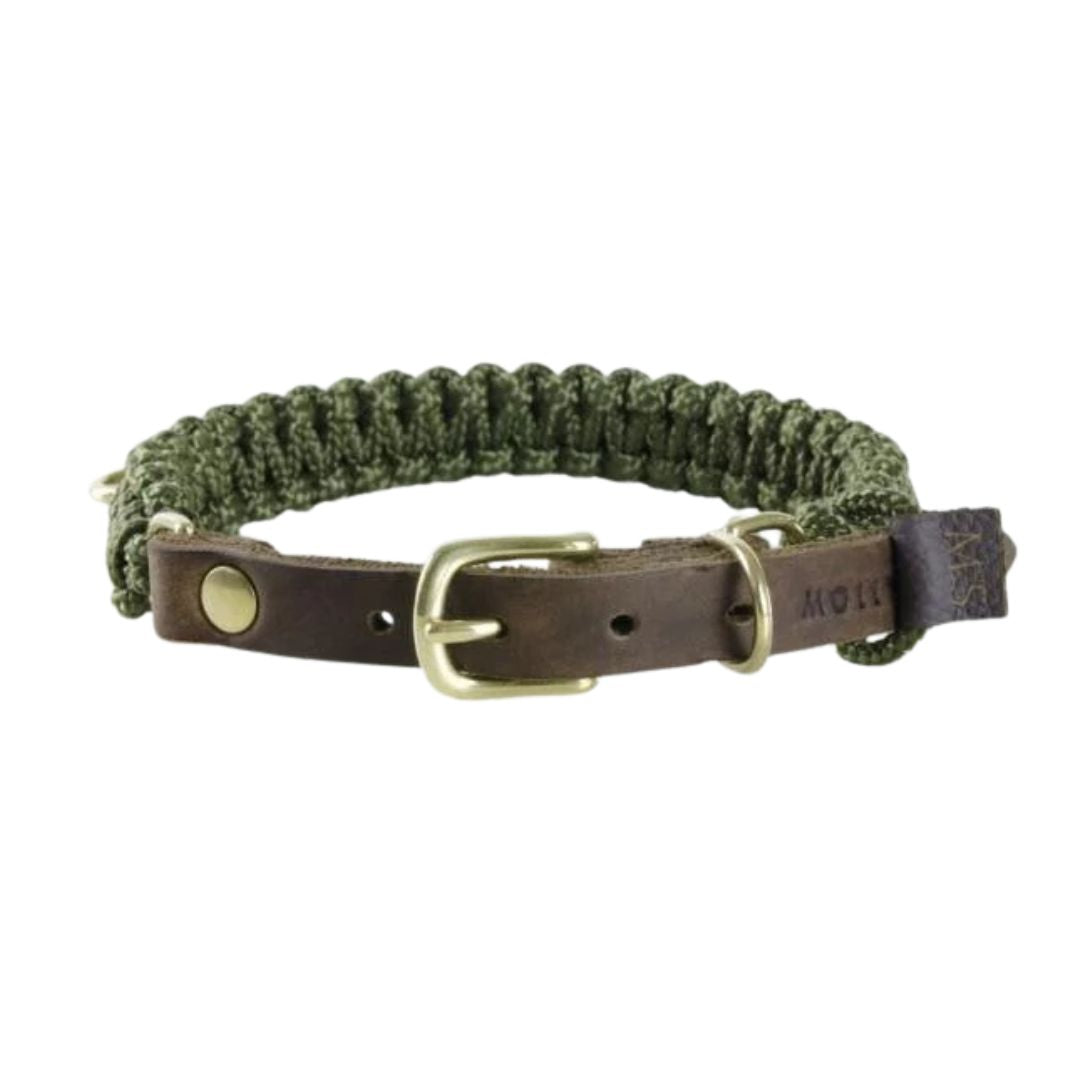 Hundehalsband in Militärgrün aus Stoff und robustem Leder