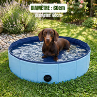Miniaturansicht für „Maße für einen Dackel-Pool“