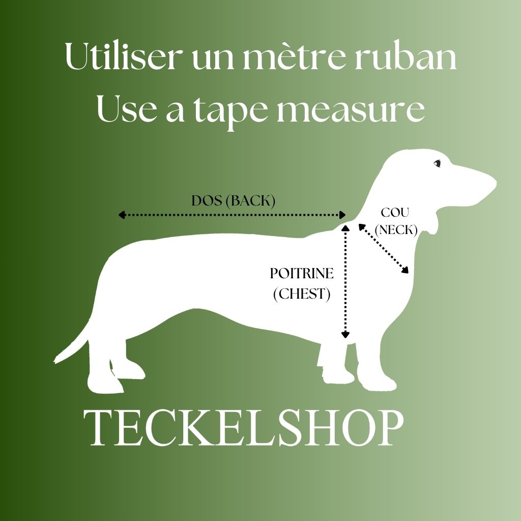 Größentabelle für Dackel – Teckel Teckelshop