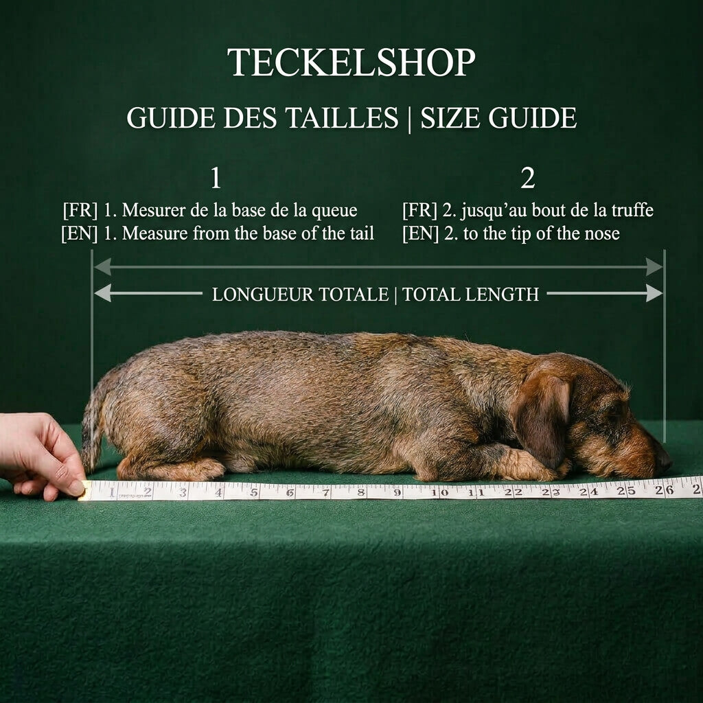 guide taille sac de transport teckel
