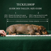 Thumbnail for guide taille sac de transport teckel