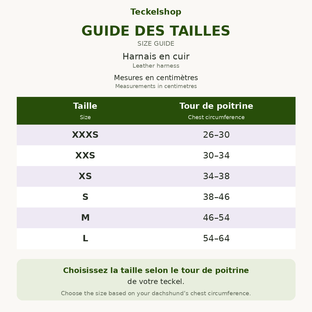 guide tailles harnais cuir butter