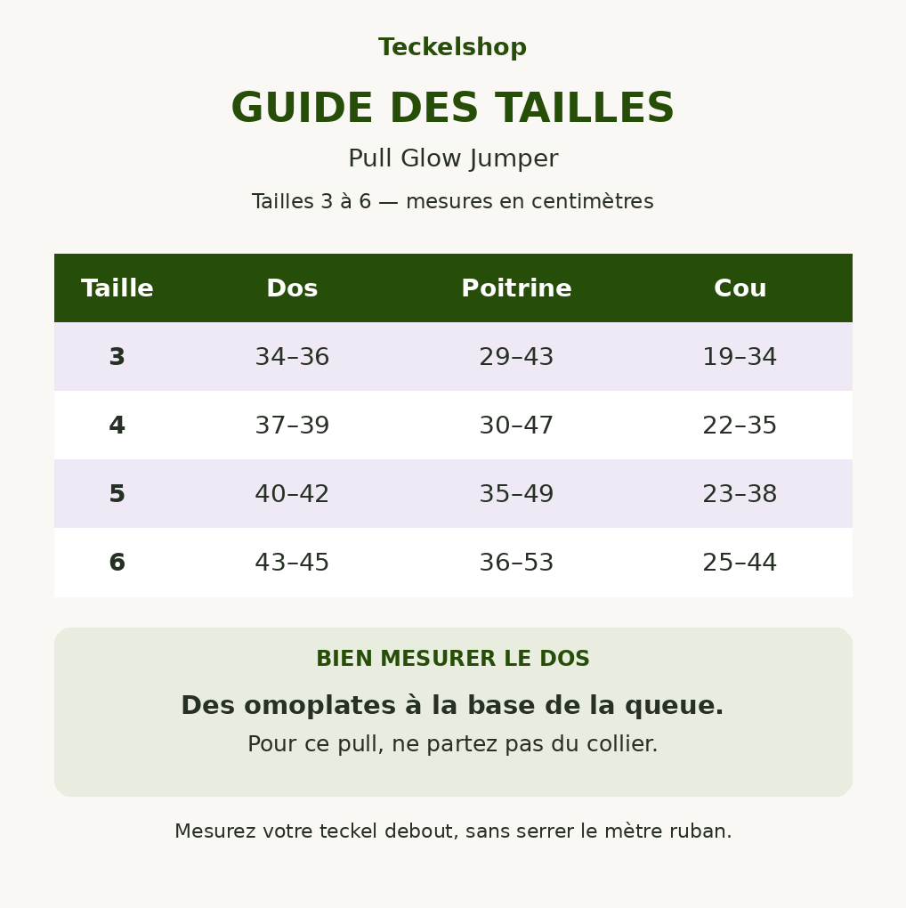 guide tailles pull jumper