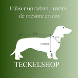 Guide Tailles sur mesure Teckelshop