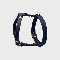 Miniaturansicht für hochwertiges blaues Lederharness für Dackel
