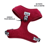 Harnais bordeaux rouge petit chien
