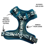 harnais chaud teckel