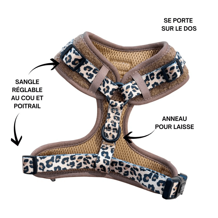 Brauner Hundegurt für Dackel