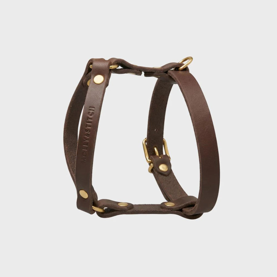 harnais chien saucisse en y cuir marron