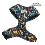 Harnais chien saucisson