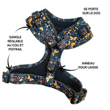 harnais colore petit chien