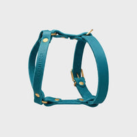 Miniaturansicht für hochwertiges blaues Lederharness für Dackel