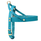Harnais cuir pour chien bleu