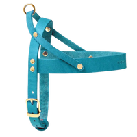 Thumbnail für Ledergeschirr für Hunde, blau