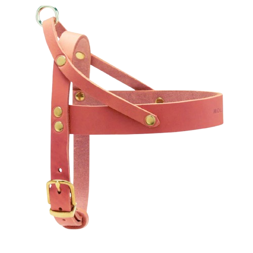 Sellerie Teckel <br> Harnais Cuir Butter Rose