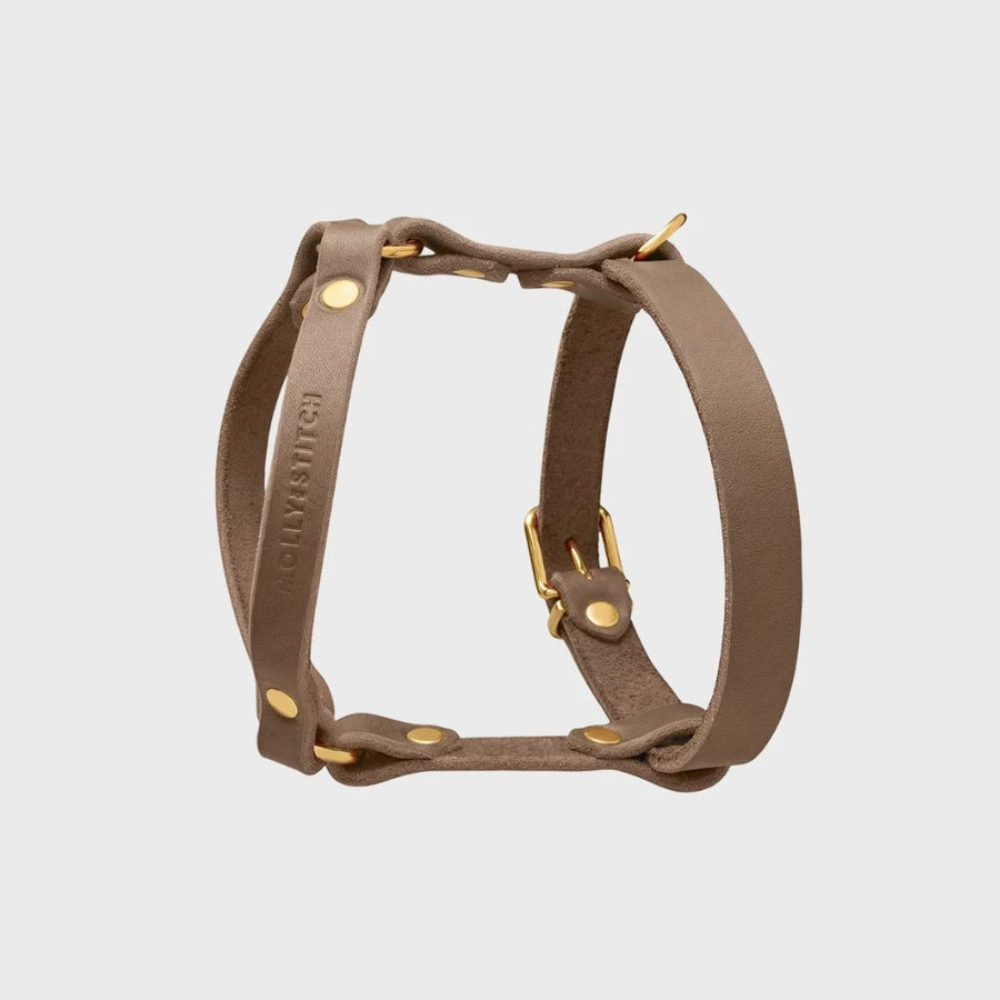 harnais cuir taupe pour teckel